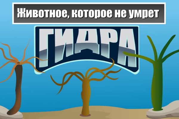 Кракен это современный даркнет маркет